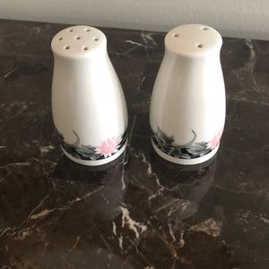 Vintage ceramic salt and pepper shaker set